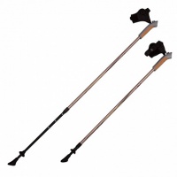 палки для скандинавской ходьбы rgx 2-секционные 85-135 см nws-03а золотой
